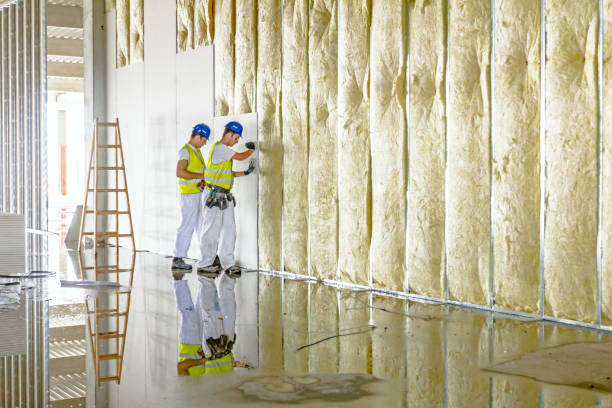 Best Insulation Air Sealing  in Raymond, WI